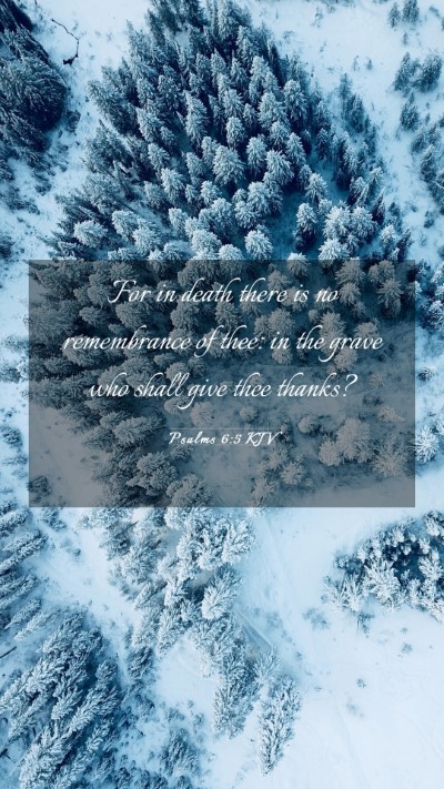 Picture 03 - Psalms 6:5 KJV Mobile Phone Wallpaper - For in death there is no remembrance of thee: in - Mobile Bible Verse Wallpaper