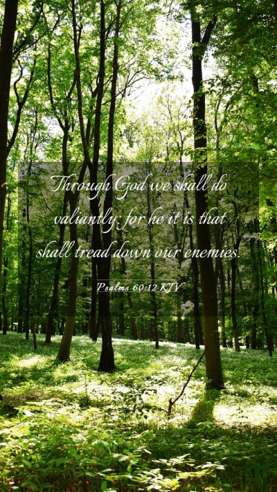 Picture 03 - Psalms 60:12 KJV Mobile Phone Wallpaper - Through God we shall do valiantly: for he it is - Mobile Bible Verse Wallpaper