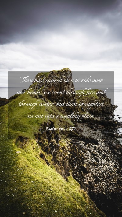 Picture 03 - Psalms 66:12 KJV Mobile Phone Wallpaper - Thou hast caused men to ride over our heads; we - Mobile Bible Verse Wallpaper