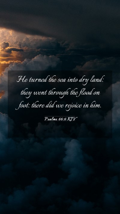 Picture 03 - Psalms 66:6 KJV Mobile Phone Wallpaper - He turned the sea into dry land: they went - Mobile Bible Verse Wallpaper