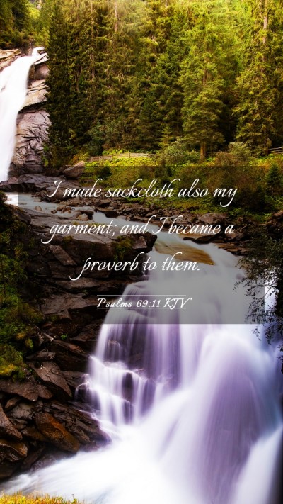 Picture 03 - Psalms 69:11 KJV Mobile Phone Wallpaper - I made sackcloth also my garment; and I became a - Mobile Bible Verse Wallpaper