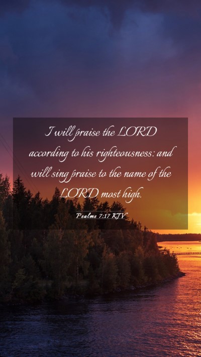 Picture 03 - Psalms 7:17 KJV Mobile Phone Wallpaper - I will praise the LORD according to his - Mobile Bible Verse Wallpaper