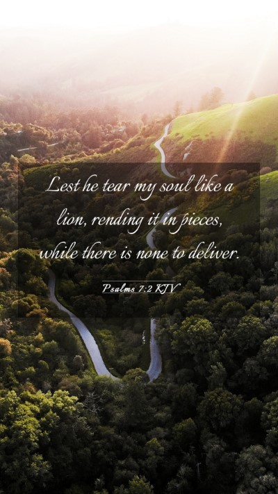 Picture 03 - Psalms 7:2 KJV Mobile Phone Wallpaper - Lest he tear my soul like a lion, rending it in - Mobile Bible Verse Wallpaper