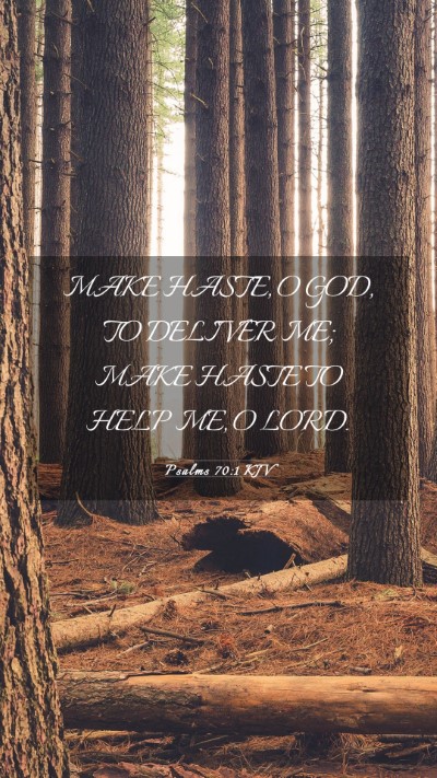 Picture 03 - Psalms 70:1 KJV Mobile Phone Wallpaper - MAKE HASTE, O GOD, TO DELIVER ME; MAKE HASTE TO - Mobile Bible Verse Wallpaper