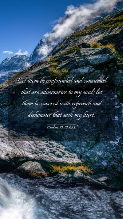 Picture 03 - Psalms 71:13 KJV Mobile Phone Wallpaper - Let them be confounded and consumed that are - Mobile Bible Verse Wallpaper