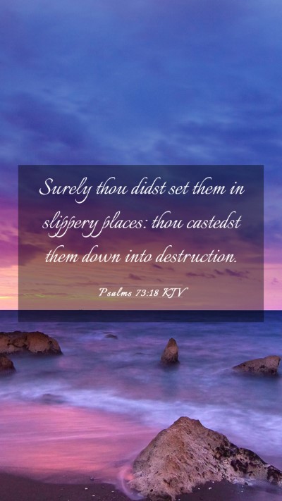 Picture 03 - Psalms 73:18 KJV Mobile Phone Wallpaper - Surely thou didst set them in slippery places: - Mobile Bible Verse Wallpaper