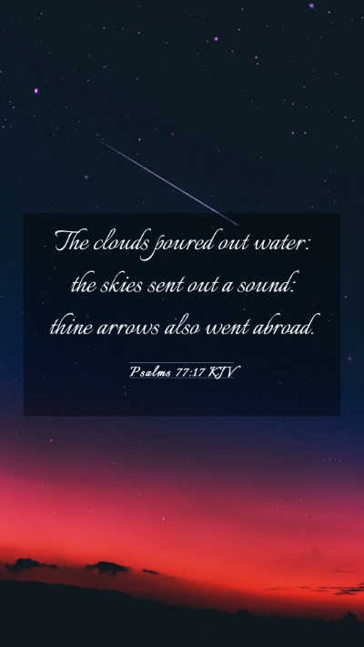 Picture 03 - Psalms 77:17 KJV Mobile Phone Wallpaper - The clouds poured out water: the skies sent out a - Mobile Bible Verse Wallpaper