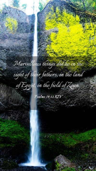 Picture 03 - Psalms 78:12 KJV Mobile Phone Wallpaper - Marvellous things did he in the sight of their - Mobile Bible Verse Wallpaper