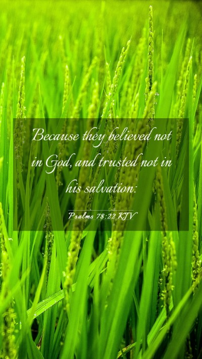 Picture 03 - Psalms 78:22 KJV Mobile Phone Wallpaper - Because they believed not in God, and trusted not - Mobile Bible Verse Wallpaper