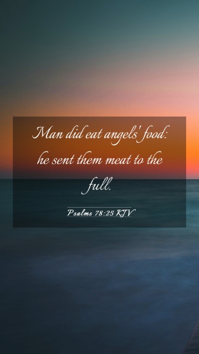 Picture 03 - Psalms 78:25 KJV Mobile Phone Wallpaper - Man did eat angels' food: he sent them meat to - Mobile Bible Verse Wallpaper
