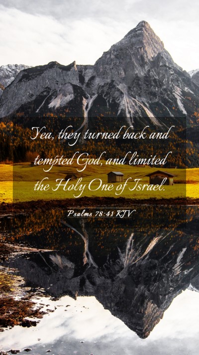 Picture 03 - Psalms 78:41 KJV Mobile Phone Wallpaper - Yea, they turned back and tempted God, and - Mobile Bible Verse Wallpaper