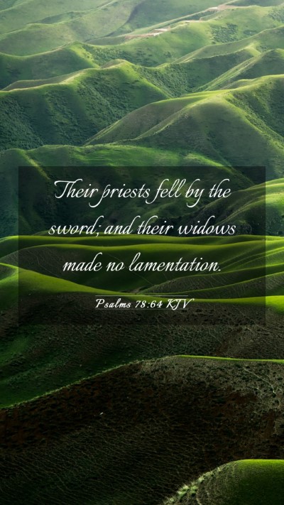 Picture 03 - Psalms 78:64 KJV Mobile Phone Wallpaper - Their priests fell by the sword; and their widows - Mobile Bible Verse Wallpaper
