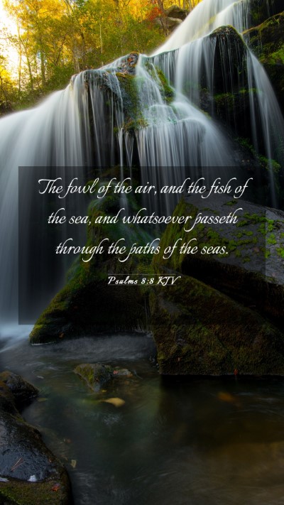 Picture 03 - Psalms 8:8 KJV Mobile Phone Wallpaper - The fowl of the air, and the fish of the sea, and - Mobile Bible Verse Wallpaper