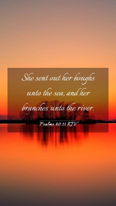 Picture 03 - Psalms 80:11 KJV Mobile Phone Wallpaper - She sent out her boughs unto the sea, and her - Mobile Bible Verse Wallpaper
