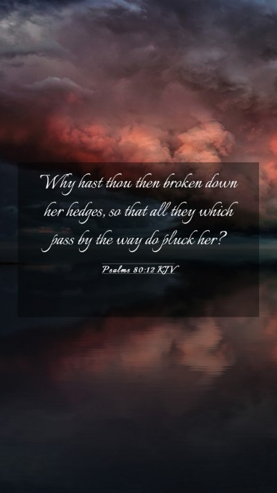 Picture 03 - Psalms 80:12 KJV Mobile Phone Wallpaper - Why hast thou then broken down her hedges, so - Mobile Bible Verse Wallpaper