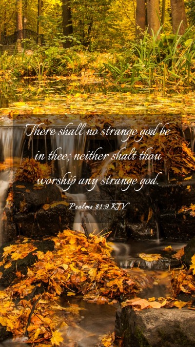 Picture 03 - Psalms 81:9 KJV Mobile Phone Wallpaper - There shall no strange god be in thee; neither - Mobile Bible Verse Wallpaper