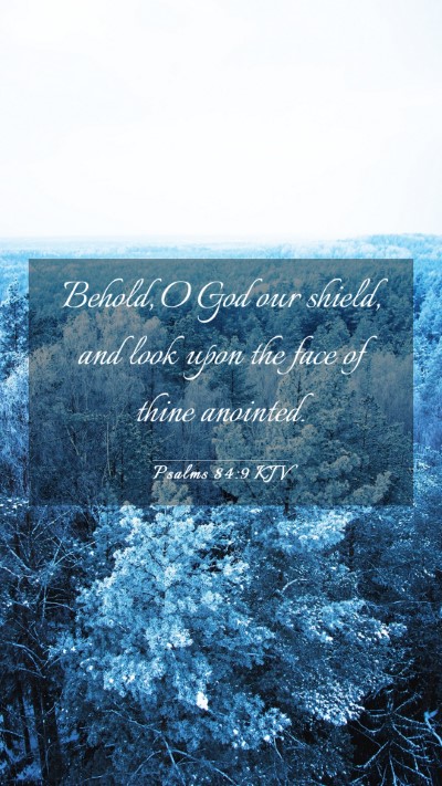 Picture 03 - Psalms 84:9 KJV Mobile Phone Wallpaper - Behold, O God our shield, and look upon the face - Mobile Bible Verse Wallpaper