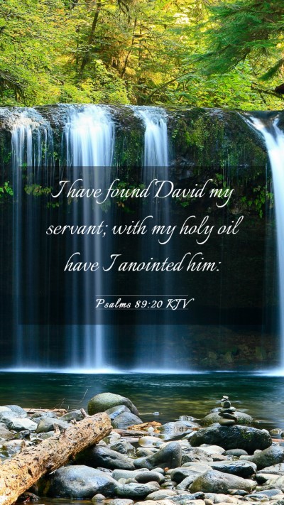 Picture 03 - Psalms 89:20 KJV Mobile Phone Wallpaper - I have found David my servant; with my holy oil - Mobile Bible Verse Wallpaper