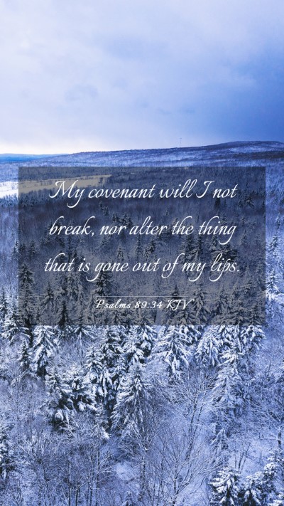 Picture 03 - Psalms 89:34 KJV Mobile Phone Wallpaper - My covenant will I not break, nor alter the thing - Mobile Bible Verse Wallpaper