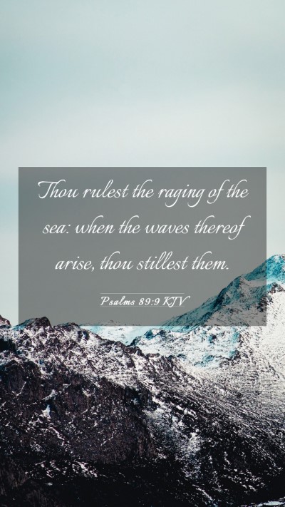 Picture 03 - Psalms 89:9 KJV Mobile Phone Wallpaper - Thou rulest the raging of the sea: when the waves - Mobile Bible Verse Wallpaper