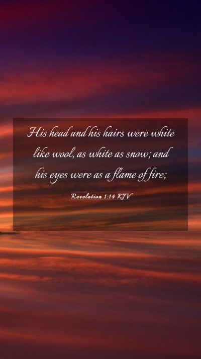 Picture 03 - Revelation 1:14 KJV Mobile Phone Wallpaper - His head and his hairs were white like wool, as - Mobile Bible Verse Wallpaper