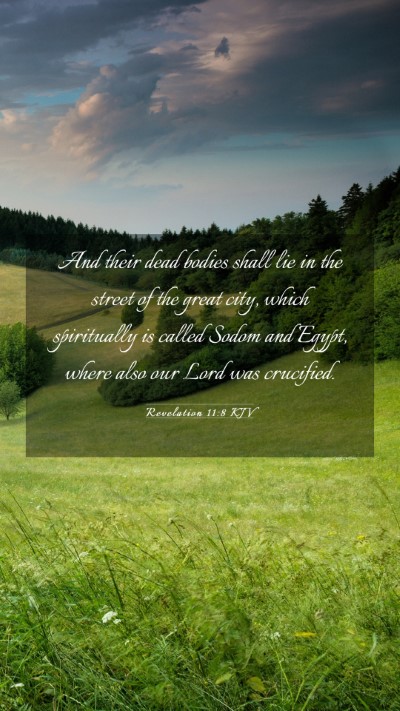 Picture 03 - Revelation 11:8 KJV Mobile Phone Wallpaper - And their dead bodies shall lie in the street of - Mobile Bible Verse Wallpaper