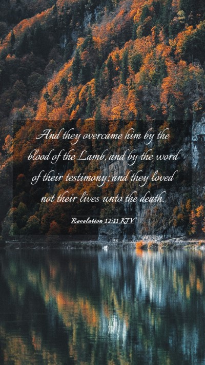 Picture 03 - Revelation 12:11 KJV Mobile Phone Wallpaper - And they overcame him by the blood of the Lamb, - Mobile Bible Verse Wallpaper