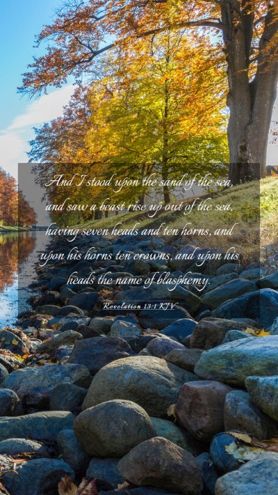 Picture 03 - Revelation 13:1 KJV Mobile Phone Wallpaper - And I stood upon the sand of the sea, and saw a - Mobile Bible Verse Wallpaper