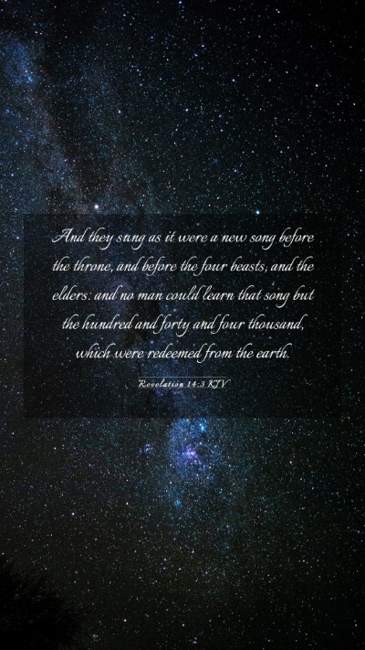 Picture 03 - Revelation 14:3 KJV Mobile Phone Wallpaper - And they sung as it were a new song before the - Mobile Bible Verse Wallpaper