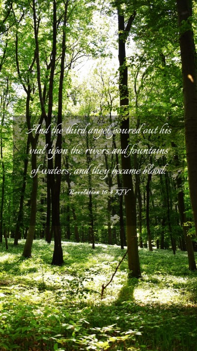 Picture 03 - Revelation 16:4 KJV Mobile Phone Wallpaper - And the third angel poured out his vial upon the - Mobile Bible Verse Wallpaper
