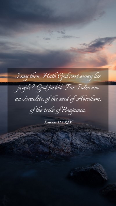Picture 03 - Romans 11:1 KJV Mobile Phone Wallpaper - I say then, Hath God cast away his people? God - Mobile Bible Verse Wallpaper