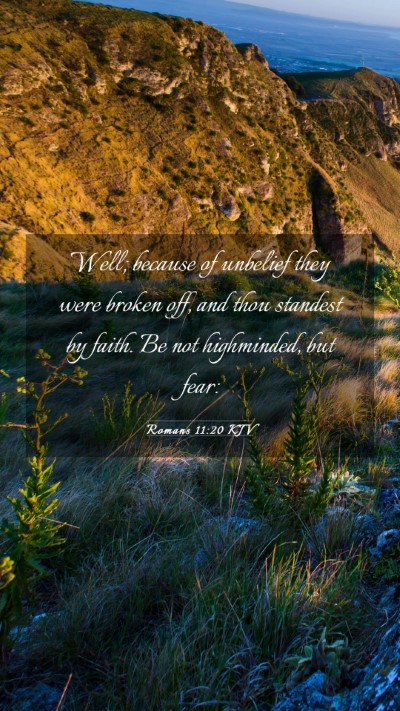 Picture 03 - Romans 11:20 KJV Mobile Phone Wallpaper - Well; because of unbelief they were broken off, - Mobile Bible Verse Wallpaper