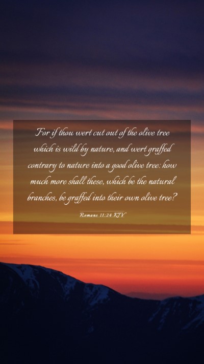 Picture 03 - Romans 11:24 KJV Mobile Phone Wallpaper - For if thou wert cut out of the olive tree which - Mobile Bible Verse Wallpaper