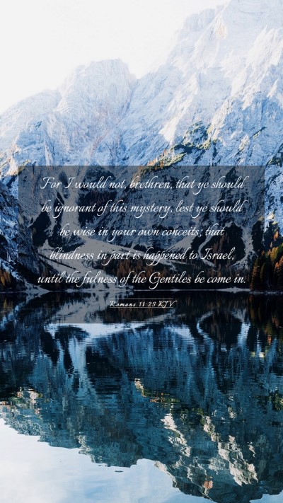 Picture 03 - Romans 11:25 KJV Mobile Phone Wallpaper - For I would not, brethren, that ye should be - Mobile Bible Verse Wallpaper