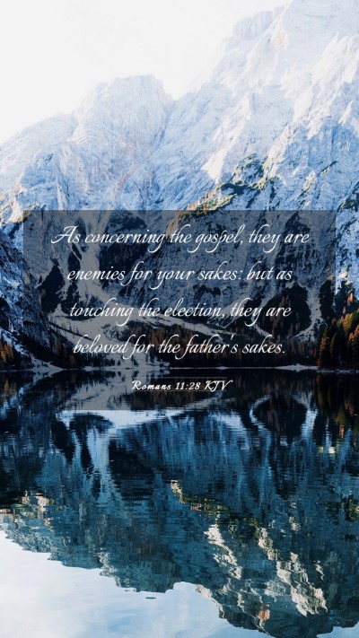 Picture 03 - Romans 11:28 KJV Mobile Phone Wallpaper - As concerning the gospel, they are enemies for - Mobile Bible Verse Wallpaper