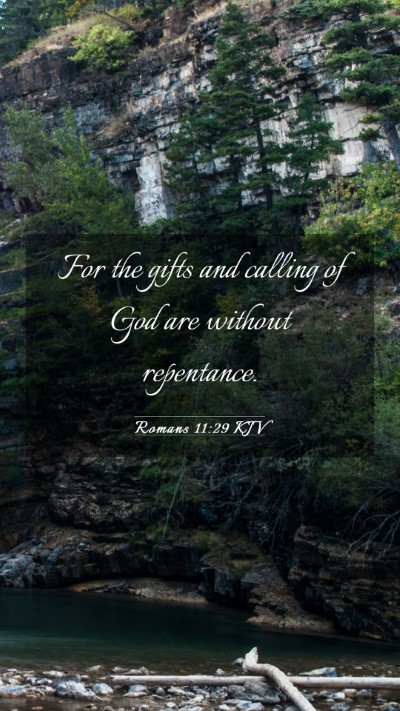 Picture 03 - Romans 11:29 KJV Mobile Phone Wallpaper - For the gifts and calling of God are without - Mobile Bible Verse Wallpaper