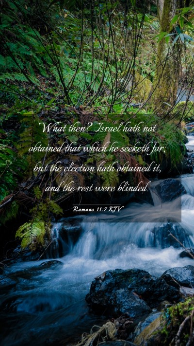 Picture 03 - Romans 11:7 KJV Mobile Phone Wallpaper - What then? Israel hath not obtained that which he - Mobile Bible Verse Wallpaper