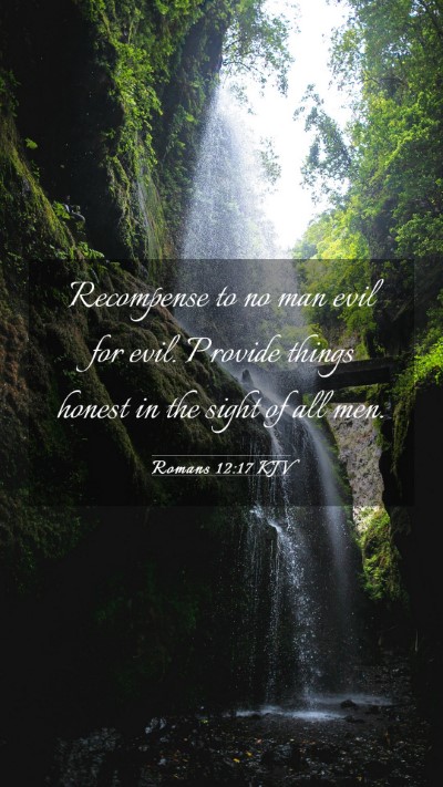Picture 03 - Romans 12:17 KJV Mobile Phone Wallpaper - Recompense to no man evil for evil. Provide - Mobile Bible Verse Wallpaper