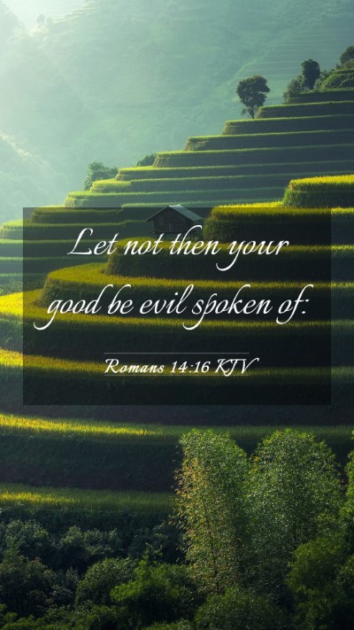 Picture 03 - Romans 14:16 KJV Mobile Phone Wallpaper - Let not then your good be evil spoken - Mobile Bible Verse Wallpaper