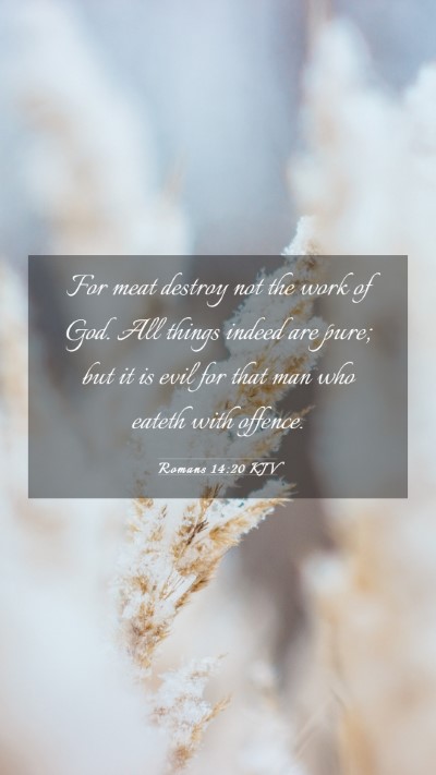 Picture 03 - Romans 14:20 KJV Mobile Phone Wallpaper - For meat destroy not the work of God. All things - Mobile Bible Verse Wallpaper