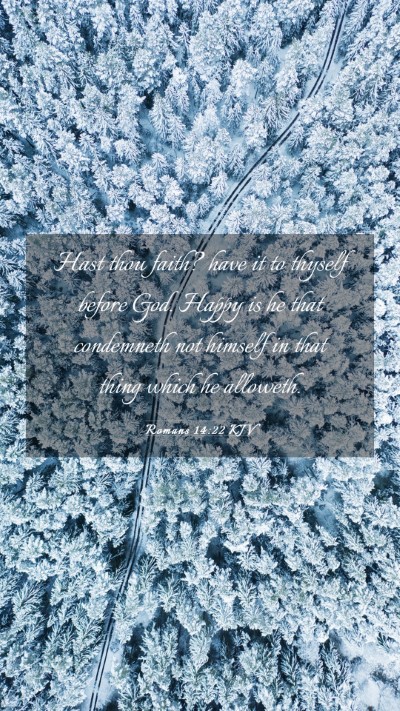 Picture 03 - Romans 14:22 KJV Mobile Phone Wallpaper - Hast thou faith? have it to thyself before God. - Mobile Bible Verse Wallpaper