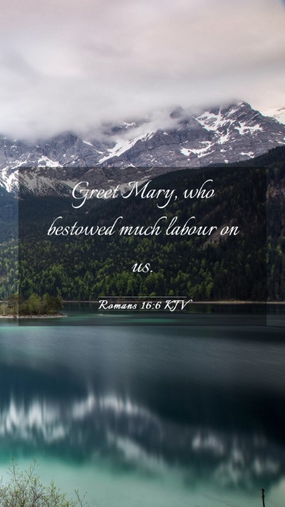 Picture 03 - Romans 16:6 KJV Mobile Phone Wallpaper - Greet Mary, who bestowed much labour on - Mobile Bible Verse Wallpaper