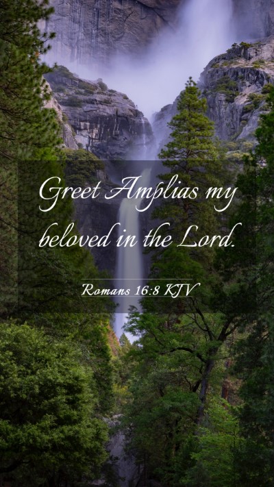 Picture 03 - Romans 16:8 KJV Mobile Phone Wallpaper - Greet Amplias my beloved in the - Mobile Bible Verse Wallpaper