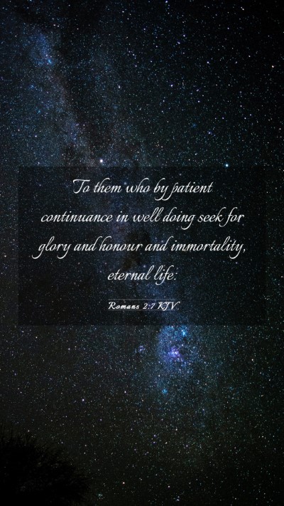 Picture 03 - Romans 2:7 KJV Mobile Phone Wallpaper - To them who by patient continuance in well doing - Mobile Bible Verse Wallpaper