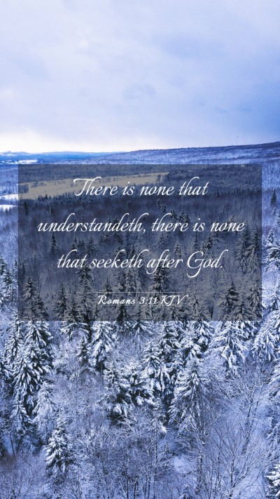 Picture 03 - Romans 3:11 KJV Mobile Phone Wallpaper - There is none that understandeth, there is none - Mobile Bible Verse Wallpaper
