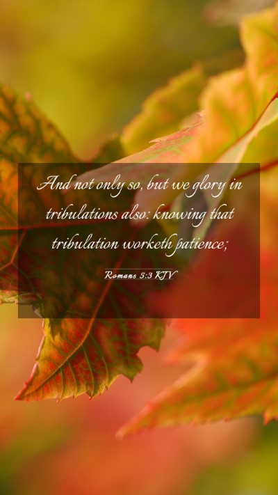 Picture 03 - Romans 5:3 KJV Mobile Phone Wallpaper - And not only so, but we glory in tribulations - Mobile Bible Verse Wallpaper