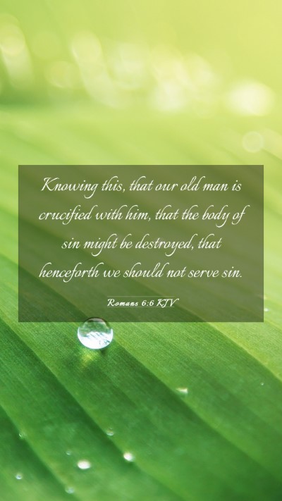 Picture 03 - Romans 6:6 KJV Mobile Phone Wallpaper - Knowing this, that our old man is crucified with - Mobile Bible Verse Wallpaper