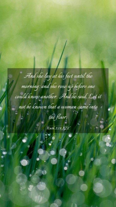 Picture 03 - Ruth 3:14 KJV Mobile Phone Wallpaper - And she lay at his feet until the morning: and - Mobile Bible Verse Wallpaper