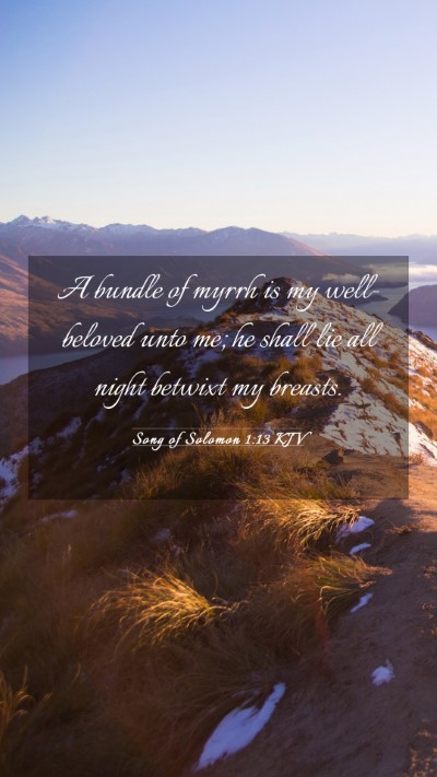 Picture 03 - Song of Solomon 1:13 KJV Mobile Phone Wallpaper - A bundle of myrrh is my well-beloved unto me; he - Mobile Bible Verse Wallpaper