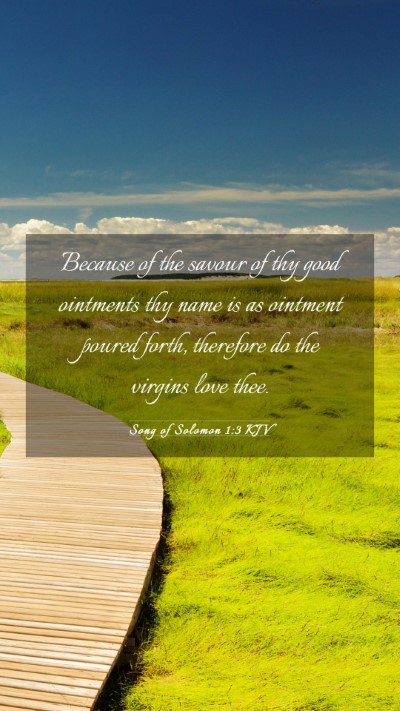 Picture 03 - Song of Solomon 1:3 KJV Mobile Phone Wallpaper - Because of the savour of thy good ointments thy - Mobile Bible Verse Wallpaper
